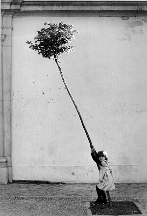 Sabine Weiss