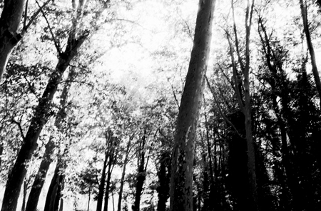 Sceaux park