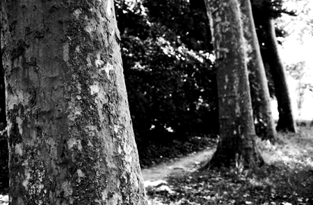 Sceaux park